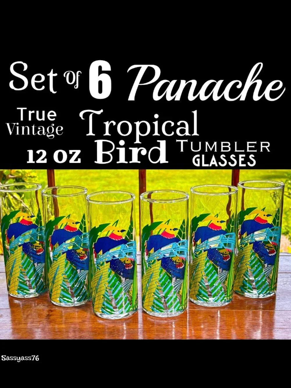 🆕VTG▪️ PANACHE▪️ Set of 6 Tropical Bird 12 oz Tall Tumbler Highball Glasses